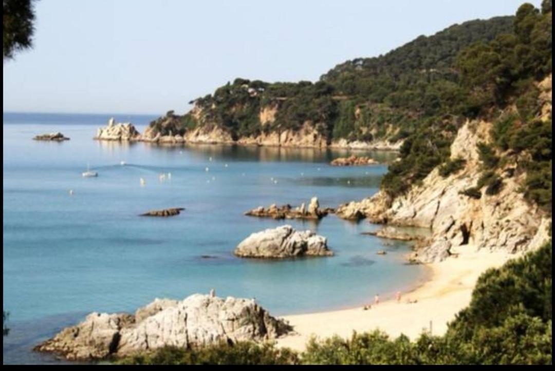 Seahomes Vacations, La Casa Blue Mediterranean Lifestyle 布拉内斯 外观 照片