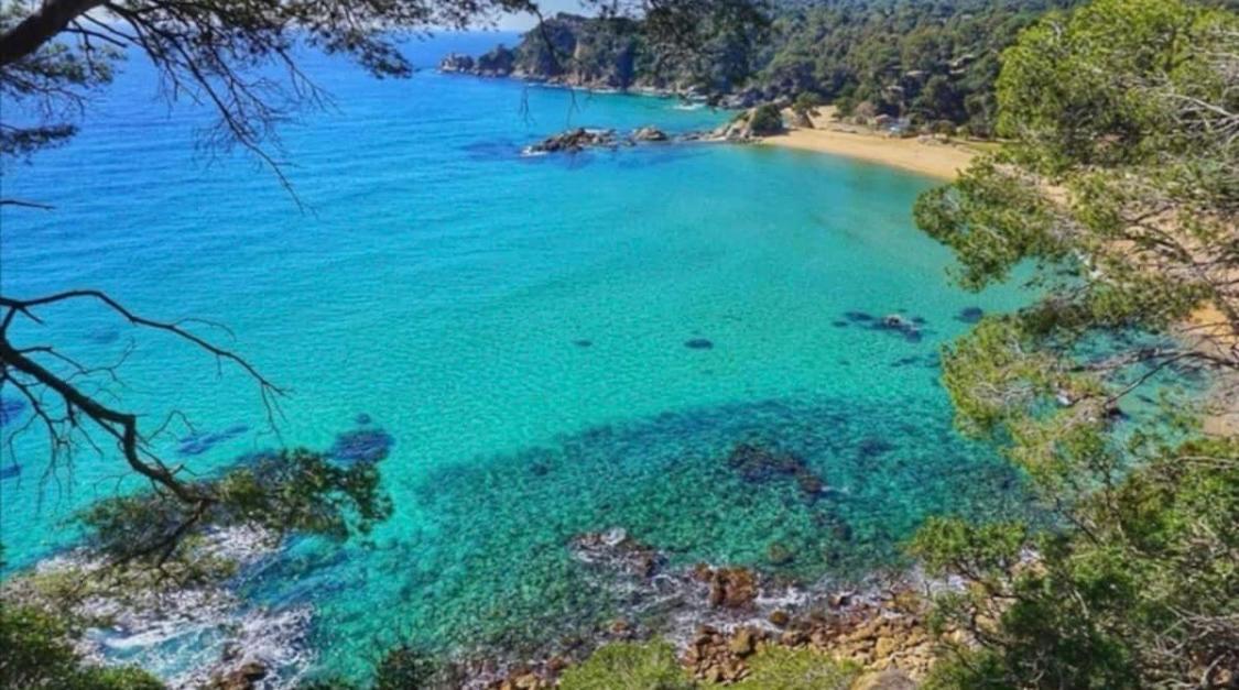 Seahomes Vacations, La Casa Blue Mediterranean Lifestyle 布拉内斯 外观 照片