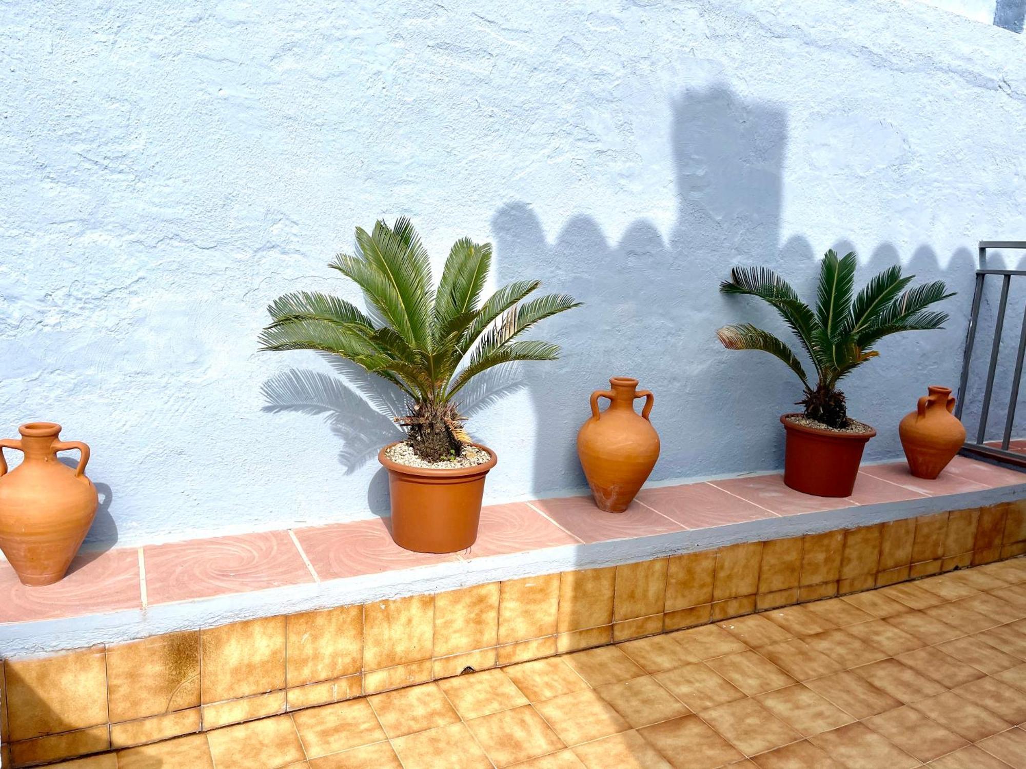 Seahomes Vacations, La Casa Blue Mediterranean Lifestyle 布拉内斯 外观 照片